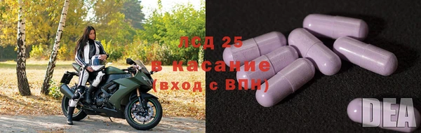 амф Арсеньев