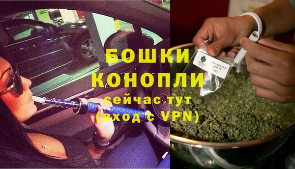 крисы Армянск