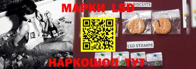 прущие грибы Краснодар