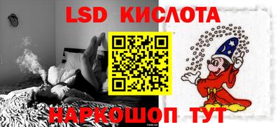 прущие грибы Краснодар