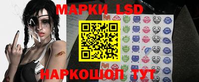 mdpv Краснознаменск