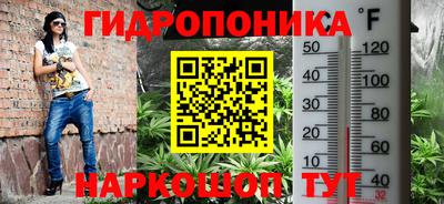 прущие грибы Краснодар