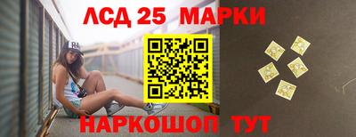 прущие грибы Краснодар