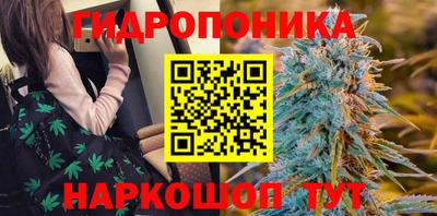 mdpv Краснознаменск