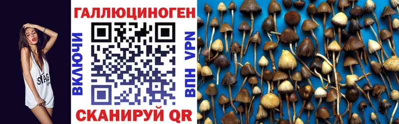 Галлюциногенные грибы GOLDEN TEACHER  Краснознаменск 