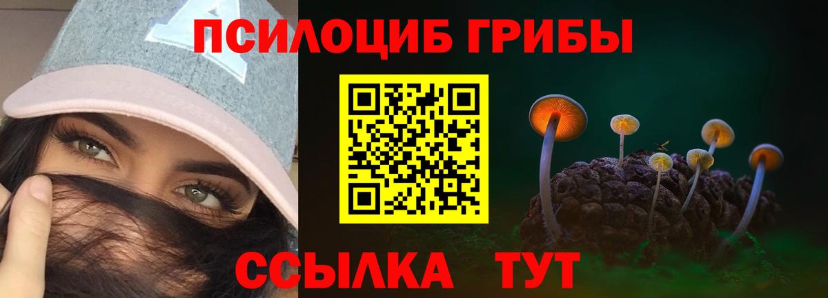 Псилоцибиновые грибы Cubensis  Псилоцибиновые грибы MAGIC MUSHROOMS  Вход с VPN  Краснознаменск 