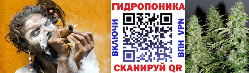 Каннабис конопля Краснознаменск